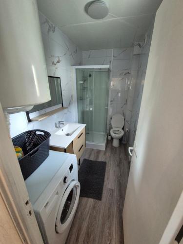 une salle de bain avec un lavabo, des toilettes et un miroir dans l'établissement Bel appartement proche Paris, à Puteaux