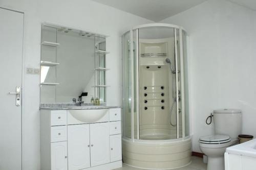une salle de bain blanche avec douche et toilettes dans l'établissement La Maison Fleurie, à Josselin
