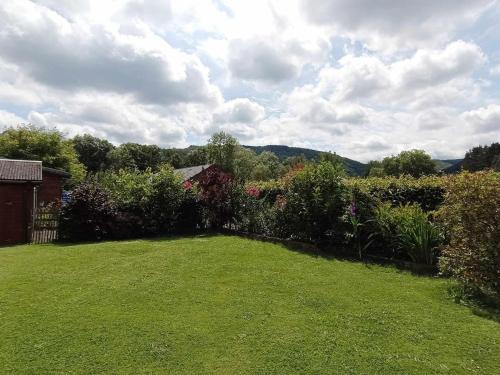 a yard with a green lawn and some bushes at Le Mont Céleste dogs friendly in Nonceveux
