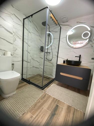 a bathroom with a shower with a sink and a toilet at Vila Dani&Marina in Porumbacu de Sus