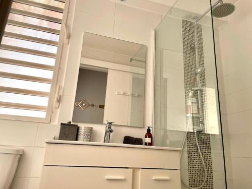 a bathroom with a sink and a glass shower at Coté Mer Wonderfull 3 bedrooms Nettle bay beach club in Baie Nettle