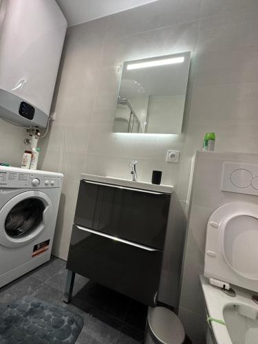 une salle de bain avec un lavabo et une machine à laver dans l'établissement Refait à Neuf 2 pièces - Paris - tout équipé - Parking, à Paris