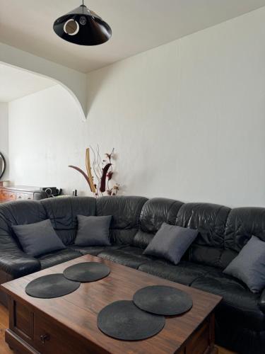 Maison individuelle avec jardin