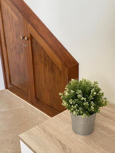 a potted plant sitting on a counter next to a door at Apartamentos Peñaflor in Guadix