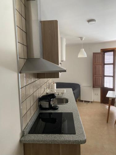 a kitchen with a sink and a counter top at Apartamentos Peñaflor in Guadix