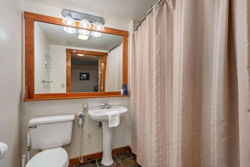 a bathroom with a toilet and a sink and a mirror at RF219 Hot tub,Heated garage and Parking in Snowshoe