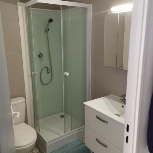 une salle de bain avec une douche, des toilettes et un lavabo dans l'établissement studio climatisé vue sur mer, réservation du samedi au samedi, à Canet