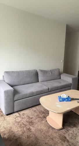 un salon avec un canapé et une table basse dans l'établissement L'assomption au calme paris 16e, à Paris