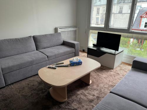 un salon avec un canapé et une table basse dans l'établissement L'assomption au calme paris 16e, à Paris