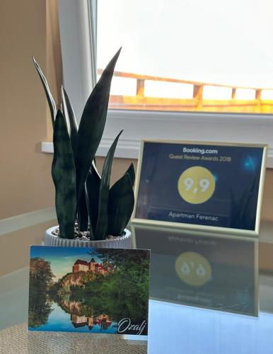 a potted plant sitting on a table next to two boxes at Apartman Ferenac in Ozalj