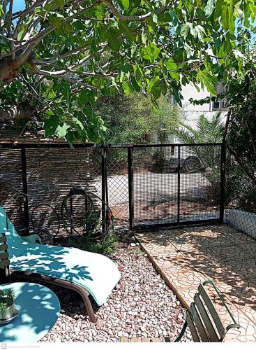 a fence with a chicken in a cage at Εξοχικό MARIA in Ambelákia