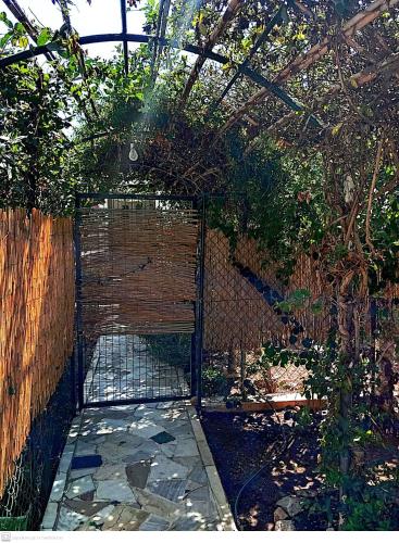 a gate in a garden with a fence at Εξοχικό MARIA in Ambelákia