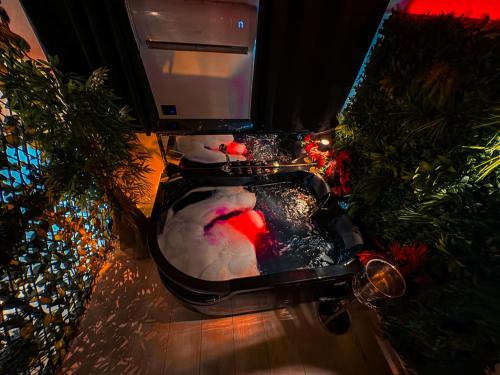a group of stuffed animals in a christmas display at Rouge Suite & SPA PALERMO CENTRO in Palermo
