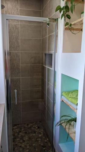 une douche avec une porte vitrée dans une salle de bain dans l'établissement Villa provençale 3 chambres, à La Bégude-de-Mazenc