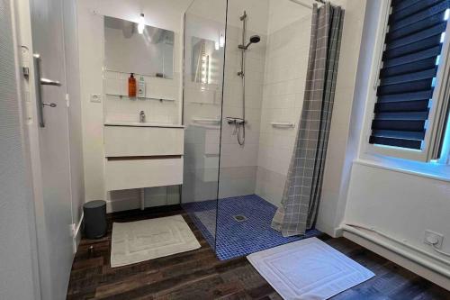 La salle de bains est pourvue d'une douche et d'une cabine de douche en verre. dans l'établissement Logement La chartre sur le Loir 75m2, à La Chartre-sur-le-Loir