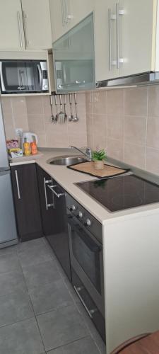 a kitchen with a sink and a counter top at Manhattan apartman Jorgovan Belvil in Novi Beograd