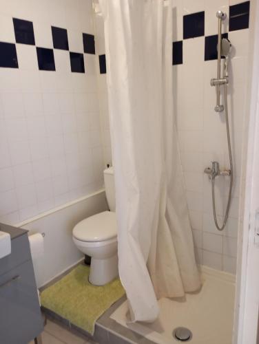 a bathroom with a toilet and a shower at Appartement dans Villa à marignane in Marignane