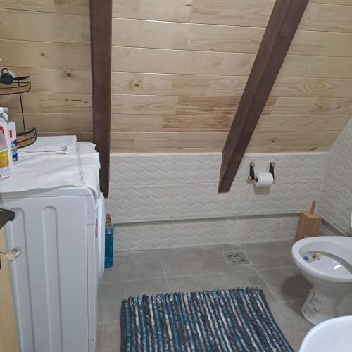 a bathroom with a sink and a toilet in a room at Vikendica Aleksandra in Žabljak
