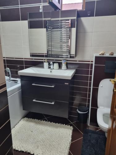 a bathroom with a sink and a toilet and a mirror at Casa Andreea in Mediaş
