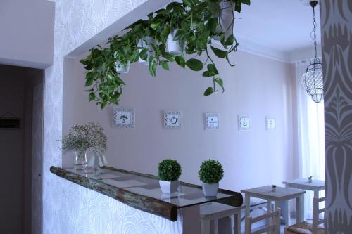 Fotografia z galérie ubytovania B&B Nannalia v destinácii Marina di Carrara