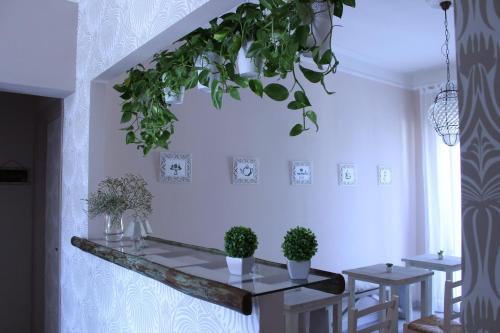 una habitación con dos mesas con macetas en la pared en B&B Nannalia, en Marina di Carrara