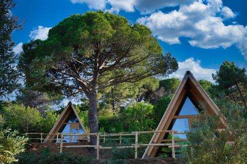 a tree and two triangular dwellings with a tree in the background at Glamping Fonte Murata in Portoferraio