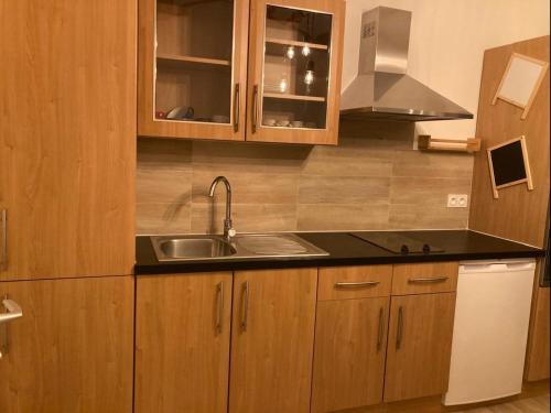 une cuisine avec des armoires en bois et un évier dans l'établissement Cosy studio tiny house, parking Mougins, proche Cannes, à Mougins