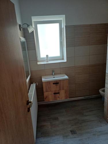 a bathroom with a sink and a window at Apartmán Silvie in Křesetice