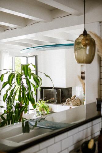 a kitchen counter with a potted plant and a mirror at VILLA Centre Guethary piscine acces ocean a pied in Guéthary