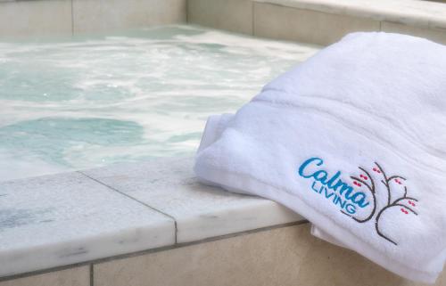 a towel sitting on the edge of a swimming pool at Calma Living in Potos