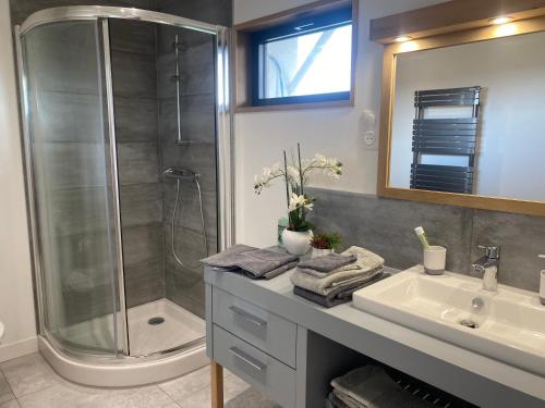 une salle de bain avec douche et lavabo dans l'établissement Logement indépendant au calme avec terrasse, à Mazerolles-le-Salin