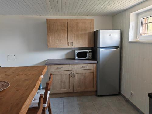 Η κουζίνα ή μικρή κουζίνα στο Appartement " Le Chardonneret "