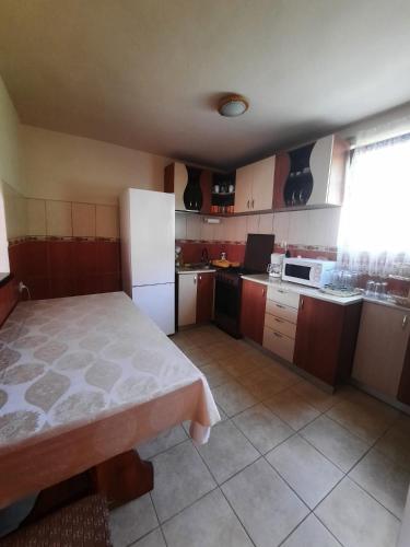 a small kitchen with a white refrigerator and a window at Casa ALINA ȘI ANDREEA in Arieşeni