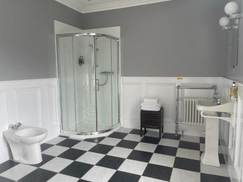 a bathroom with a shower and a toilet and a sink at Creag Mhor Lodge in Onich