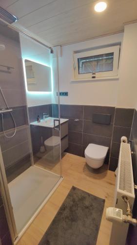 a bathroom with a shower and a toilet and a sink at Ferienwohnung in Lennestadt in Lennestadt