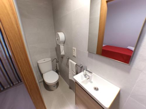 a bathroom with a toilet and a sink and a mirror at Pensión La Estación in Logroño
