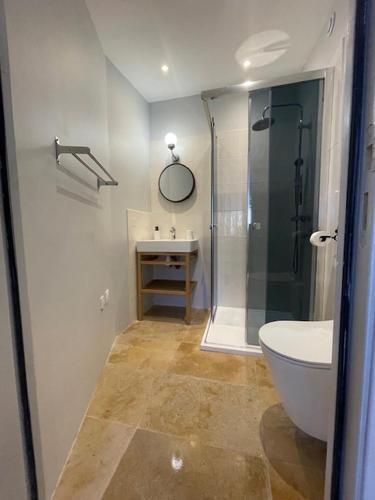 a bathroom with a shower and a toilet and a sink at Villa OASIS en Provence Luberon Pierrevert in Pierrevert