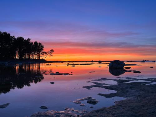 a sunset over a body of water with trees at Roo Resort in Suurupi