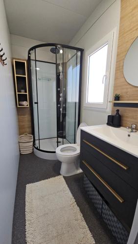 a bathroom with a shower and a toilet and a sink at Mobile home FAME in Pirovac
