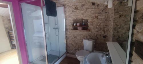 une salle de bain avec une douche, des toilettes et un lavabo dans l'établissement Maison avec vue sur vignes proche CNPE, à Saint-Genès-de-Blaye