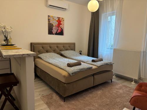 Suzannah Apartment by the Danube