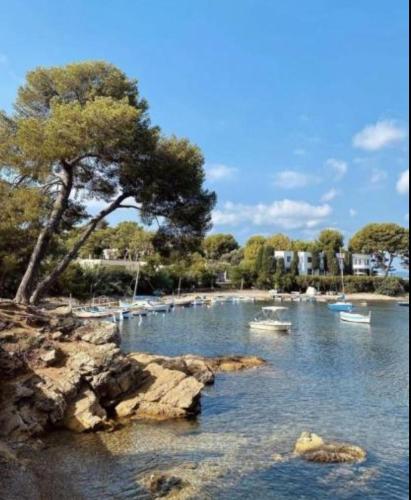 Incredible loft in Vieil Antibes with AC