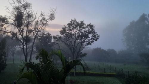 a foggy field with trees in the background at Sítio Roda d'Água in Lagoa Santa