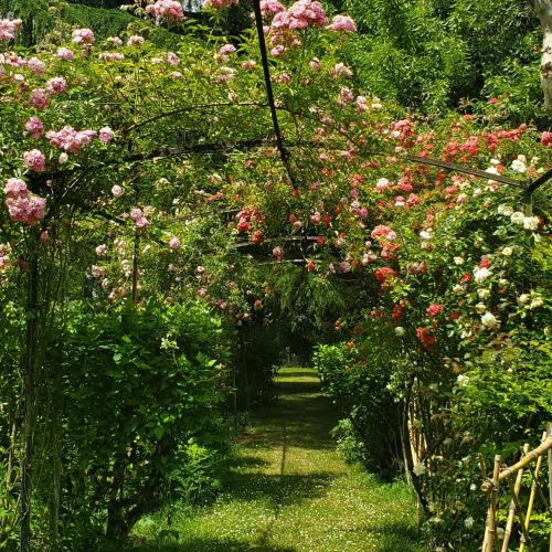 un jardin avec des roses et un chemin de fleurs dans l'établissement La Villa du Portail, à Le Passage
