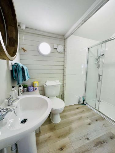 a bathroom with a toilet and a sink and a shower at The cabin in Truro