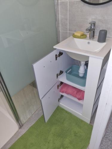 une salle de bain avec un lavabo et un miroir dans l'établissement Studio indépendant et Jardin 600m2 Terrasse, à Carbon-Blanc