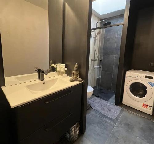 a bathroom with a sink and a washing machine at Maison atypique O'ZEN à 5 min de La Rochelle in Saint-Xandre