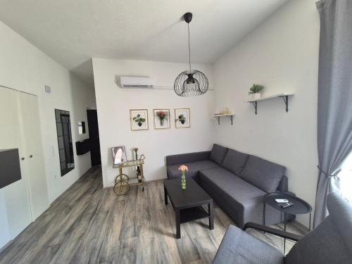 Holiday Apartment