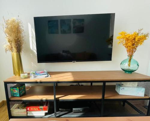 Televisyen dan/atau pusat hiburan di Le Repos du Pilat proche à 10 min Saint Etienne