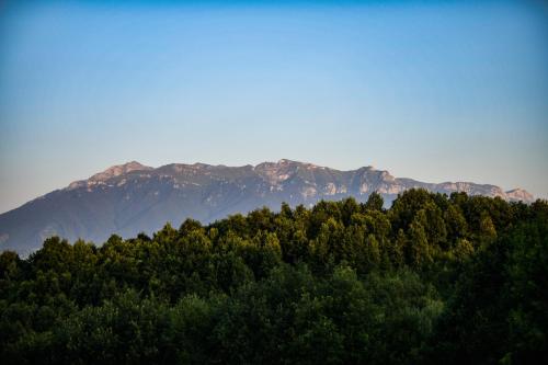 a view of a forest with mountains in the background at Panoramic Paradise Estate - Sauna & Pool in Zărneşti